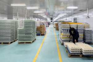 GlassyPack decoration workshop with trays of finished glass bottles stacked along the production aisle